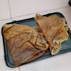 山东张店精品海蜇皮，天然野生海捕