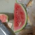 河南夏邑8424西瓜80多个大棚，纯绿色种植
