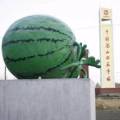 沈阳市，新民，梁山镇，万亩西瓜