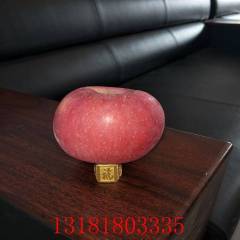 早熟华硕苹果苗价格 成熟早三年挂果 产量高