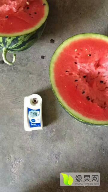 甜王系列价格