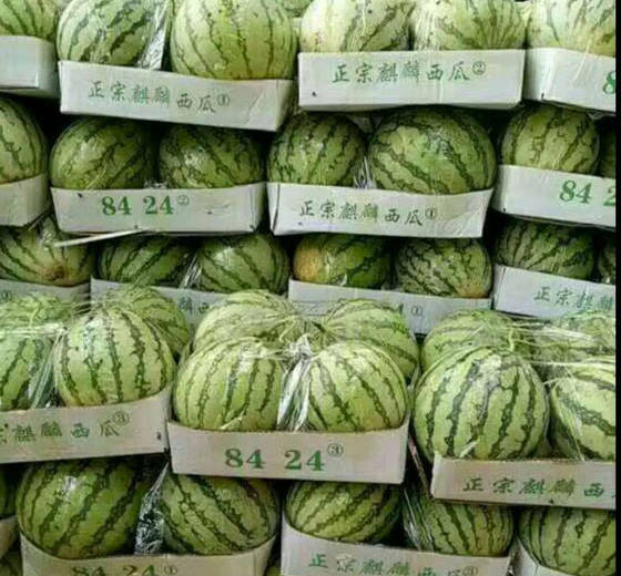 2018年安徽砀山8424西瓜价格