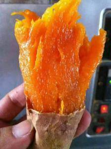 河北廊坊烟薯25纯沙土地种植