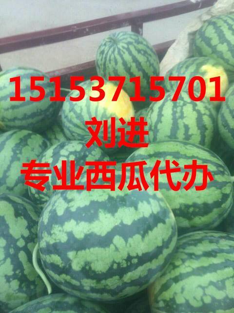 2019年山东泗水甜王系列价格
