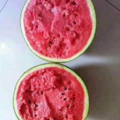 安丘大棚甜王西瓜大量上市，质量保证，熟度高，大红瓤。