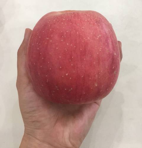 2018年甘肃宁县红苹果价格