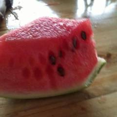 嘉陵自种西瓜面积有60多亩，土壤肥沃沙壤土