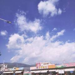 河南通许以色列西红柿精品西红柿，圆整规测