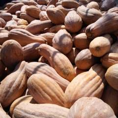 湖南汉寿金韩蜜本南瓜以大量上市