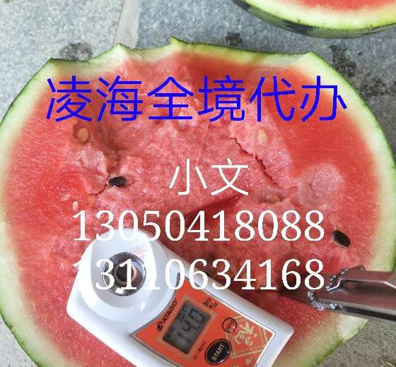 2018年辽宁凌海甜王系列价格