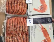 密云阿根廷南部海域红虾，纯净无污染