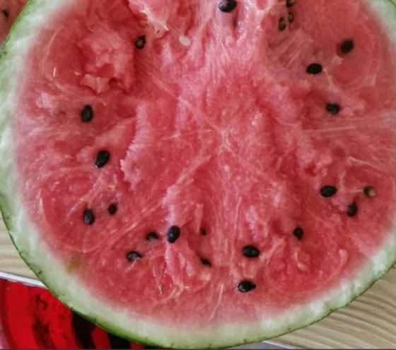 冠龙价格