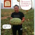 内蒙古乌拉特前旗沙漠1号：东风村邬帅