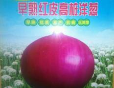 ​杨凌千普农业开发有限公司洋葱种子