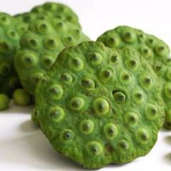 2018现摘现发江西新鲜莲蓬