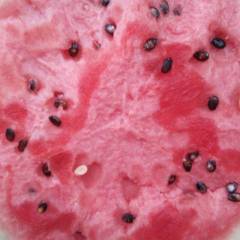 玉田西瓜，产地直供，口感甜爽