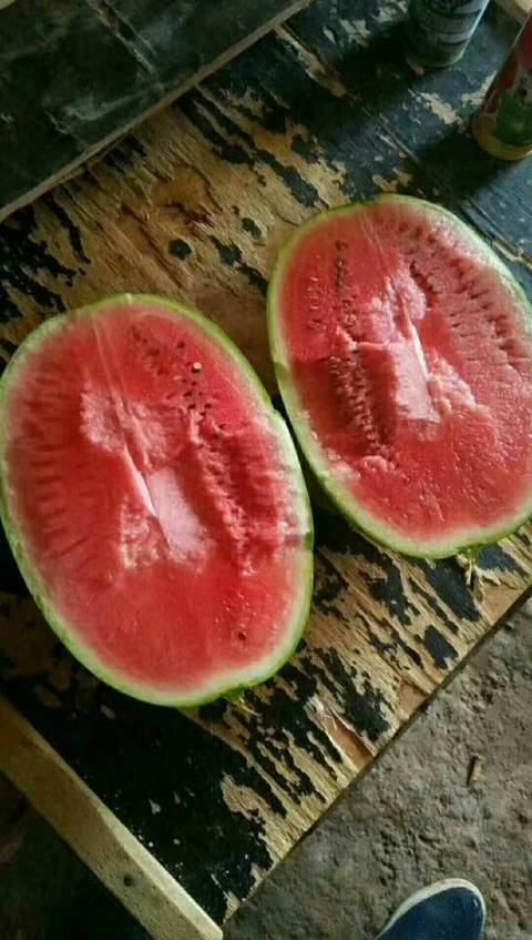 硒砂瓜价格