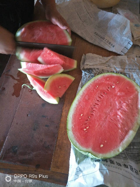 硒砂瓜价格