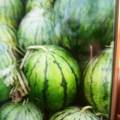 我尉氏沈保成，从事货运部10多年也和瓜果蔬菜打