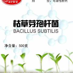 2018梁山有机肥 枯草芽孢杆菌产品介绍