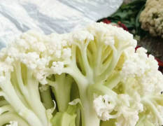 江苏沛县有机青梗白面菜花以上市，重量2-3斤