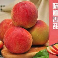 湖北枣阳现货突围桃甜桃硬脆桃