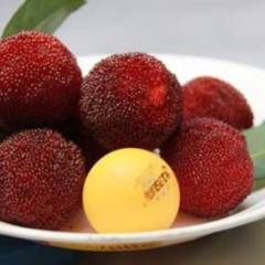 2018鄞州预售六月中旬 东魁杨梅新鲜水果农家特级