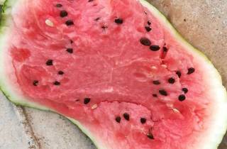 2018监利西瓜 麒麟瓜受到广大消费者的认可