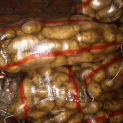 光明武川土豆购销经纪人，武川 四子王旗新土豆