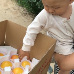 山东沂蒙山特产，微商电商一手货源