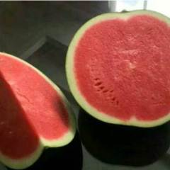 蒲城西瓜我地西瓜现已大量上市，货源充足