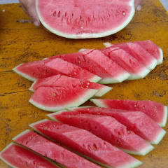 会宁硒砂瓜西瓜七月份上市