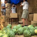 2018太康8424西瓜已经大量上市，价格美丽