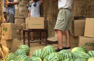 2018太康8424西瓜已经大量上市,价格美丽