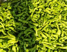 北林辣椒种植基地，品种齐全，有尖椒，圆椒