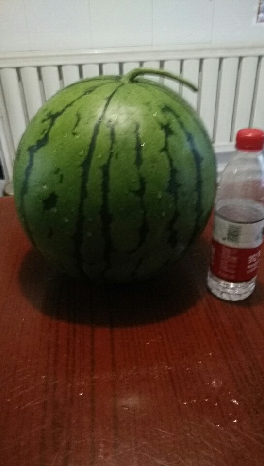 地雷瓜价格