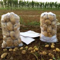 玉田县环宇蔬菜农民专业合作社