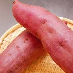 各位需要红薯的老板们，大家好！