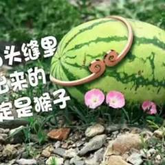 靖远烟洞沟硒砂瓜西瓜