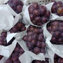 2018永年葡萄口感好，汁隋凤富，果粒饱满