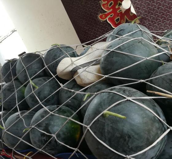 黑皮无籽价格