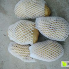 辽宁瓦房店荷兰十五土豆。5毛钱左右，不骗人