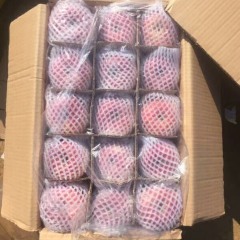 陕西大荔嘎啦早熟苹果多个品种