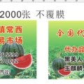 河南太康8424西瓜 本市场全程为您服务严格把控质