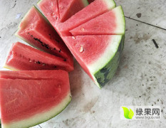 东明西瓜主要品种有：庆红宝、黑金刚