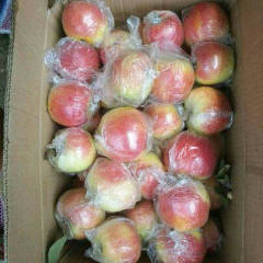 嘎啦苹果上市开园了欢迎光临