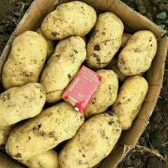 围场县，全国著名的马铃薯之乡