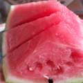 通许每年7—8月份8424龙卷风京欣等西瓜大量