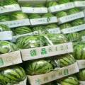 扶沟西瓜信誉至上，质量第一