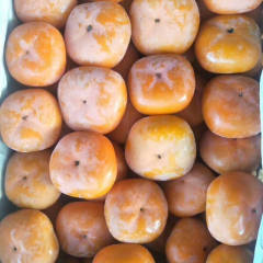 陕西七月黄柿子，八月黄柿子大量上市